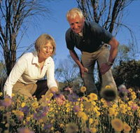 Canna Reserve - Stayed