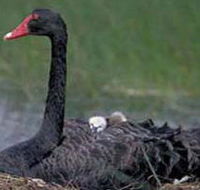 French Island Marine National Park - Stayed