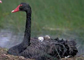 French Island Marine National Park - Stayed 0