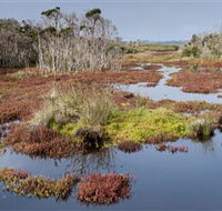 French Island National Park - Stayed