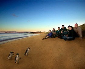 Phillip Island Nature Parks - Stayed 7