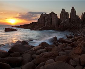 Phillip Island Nature Parks - Stayed 6
