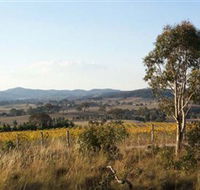 Yarrh Wines - Stayed