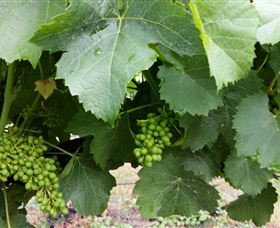 Kerralee Wines - Stayed 1