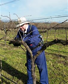 Kerralee Wines - Stayed 3