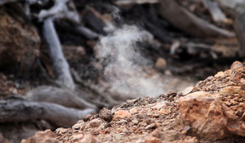 Burning Mountain Nature Reserve - Stays Accommodation 1