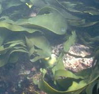 Churchill Island Marine National Park - Stayed