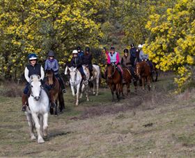Burnelee Excursions On Horseback - Stayed 0