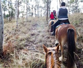 Burnelee Excursions On Horseback - Stayed 1