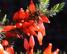 Mount Dale Walk Trail - Stayed 3