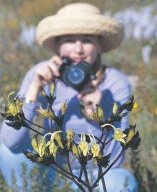 Carnamah-Eneabba Wildflower Drive - Stayed 1