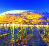 Surveyors Hill Winery - Stayed