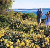Joseph Banks Conservation Park - Stayed
