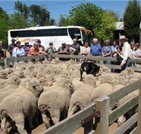 Gold Creek Station - Stayed