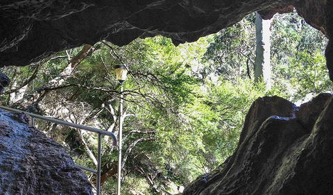 Carlotta Arch Walking Track - Stays Accommodation 1