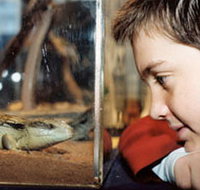 Canberra Reptile Zoo - Stayed