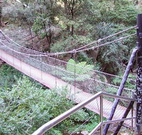 Jenolan River walking track - Stays Accommodation