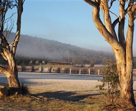 Savina Lane Premum Wines - Stayed 0