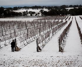 Savina Lane Premum Wines - Stayed 2