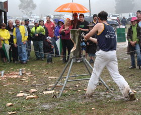 Hartley Vale NSW Stayed