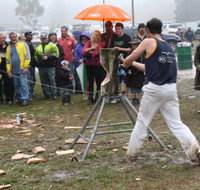 Lockyers Road Walking Track - Stays Accommodation