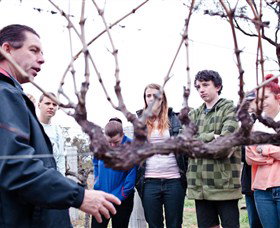 Varias Restaurant And Conference Centre Incorporating Banca Ridge Winery Cellar Door - Stayed 3