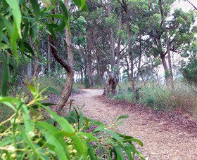 Mount Mutton Walking Trail - Stayed 0