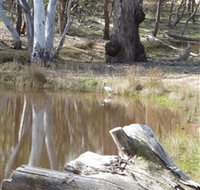 Mulligans Flat - Stayed