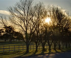 Inland Waters Holiday Parks Lake Glenbawn - Stayed 4