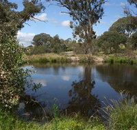 Cooleman Ridge - Stayed