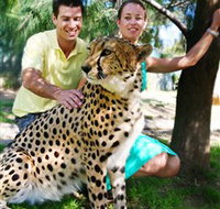 National Zoo  Aquarium - Stayed