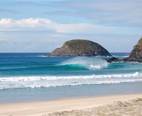 Surfaris Surf Camp - Stayed 4