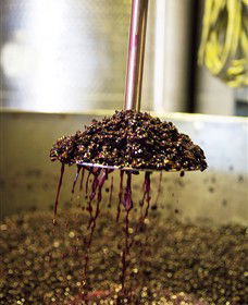 Quealy Winemakers - Stayed 6