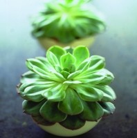 Crossroads Homemaker Centre - Stayed 1