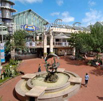 Allambie Heights NSW Stayed