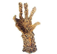 Coo-ee Aboriginal Art Gallery - Stayed