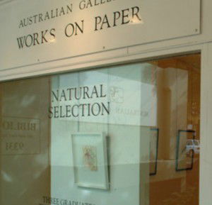 Australian Galleries - Roylston Street - Stays Accommodation 1