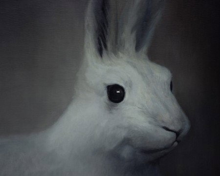 Gallery 9 - Stayed 2