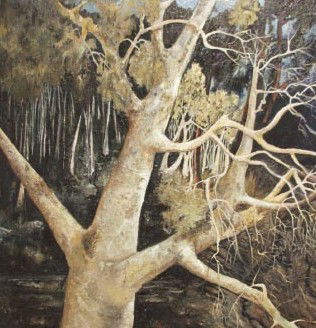 Melrose Park NSW Stayed