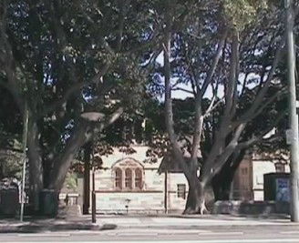 Rozelle Weekend Markets - Stays Accommodation 0