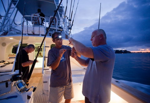 Amokura Charters - Stayed 1