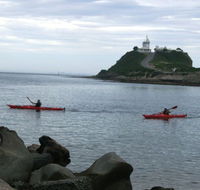 Newcastle Kayak Tours - Stayed