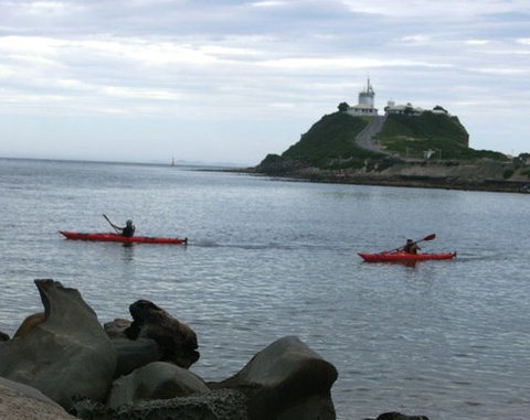 Newcastle Kayak Tours - Stayed 0