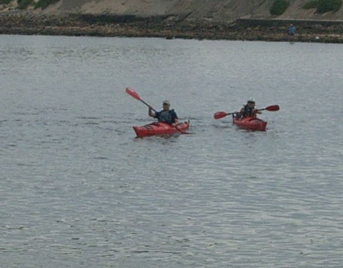 Newcastle Kayak Tours - Stayed 4