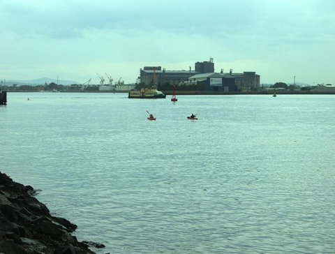 Newcastle Kayak Tours - Stayed 5