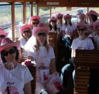 Newcastles Famous Tram - Stayed