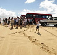 Port Stephens 4WD Tours - Stayed