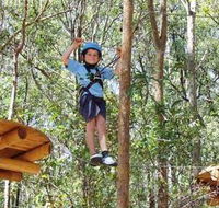 TreeTops Newcastle - Stayed
