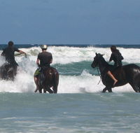 Pegasus Park Equestrian Centre - Stayed