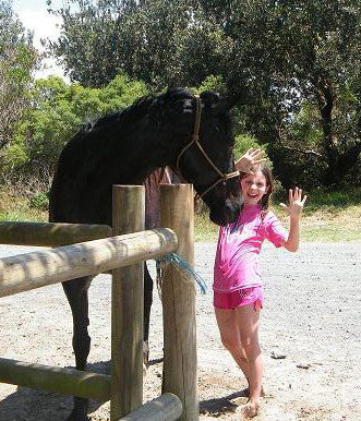 Pegasus Park Equestrian Centre - Stayed 3